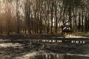 Horse riding